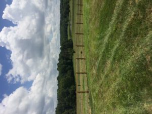 3 rail equestrian fencing